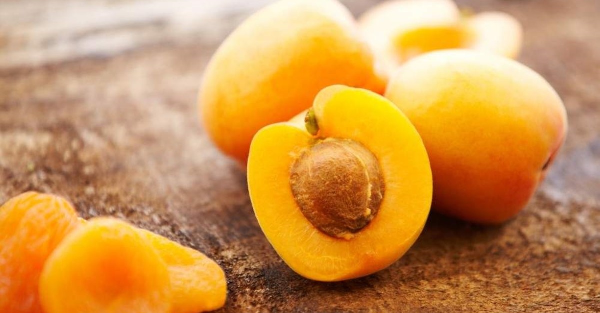 How Many Apricot Seeds You Must Eat Per Day To Prevent Cancer