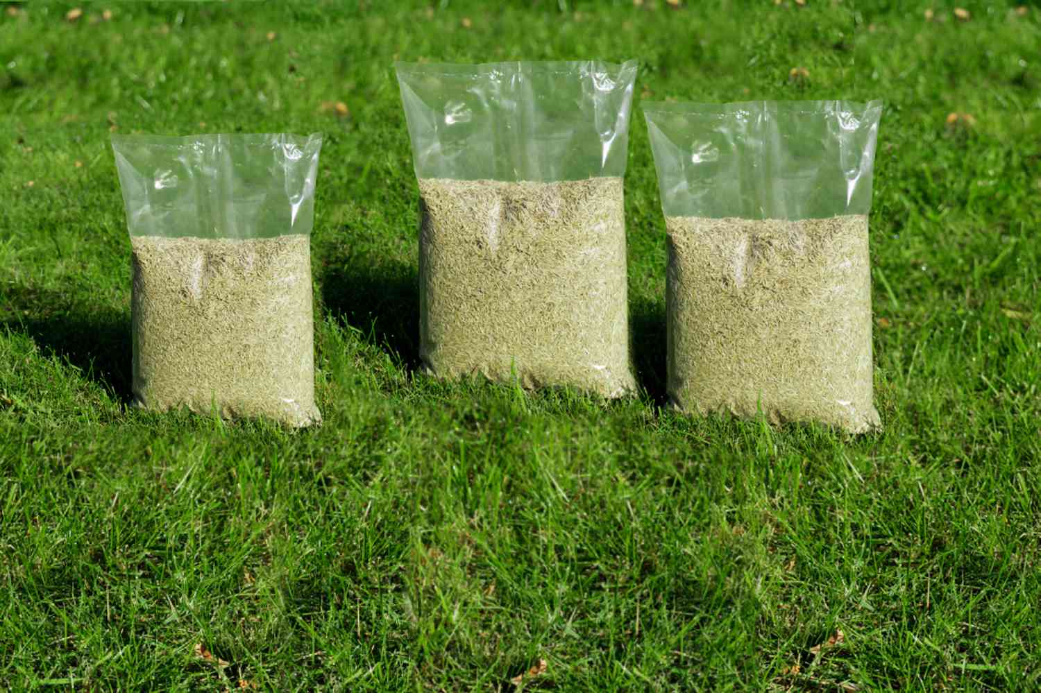 How Many Lbs Of Grass Seed Per Acre