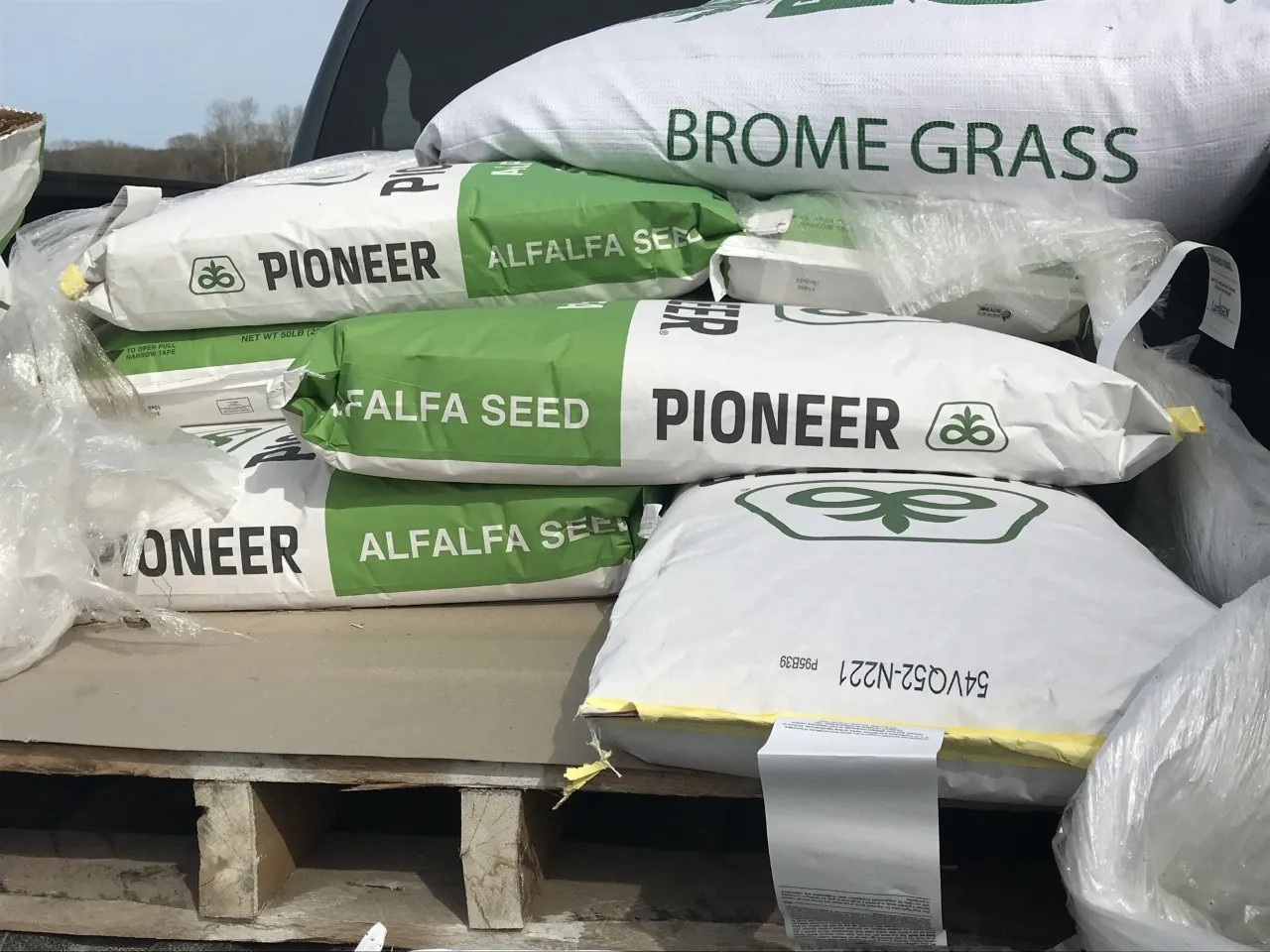 How Much Alfalfa Seed Per Acre