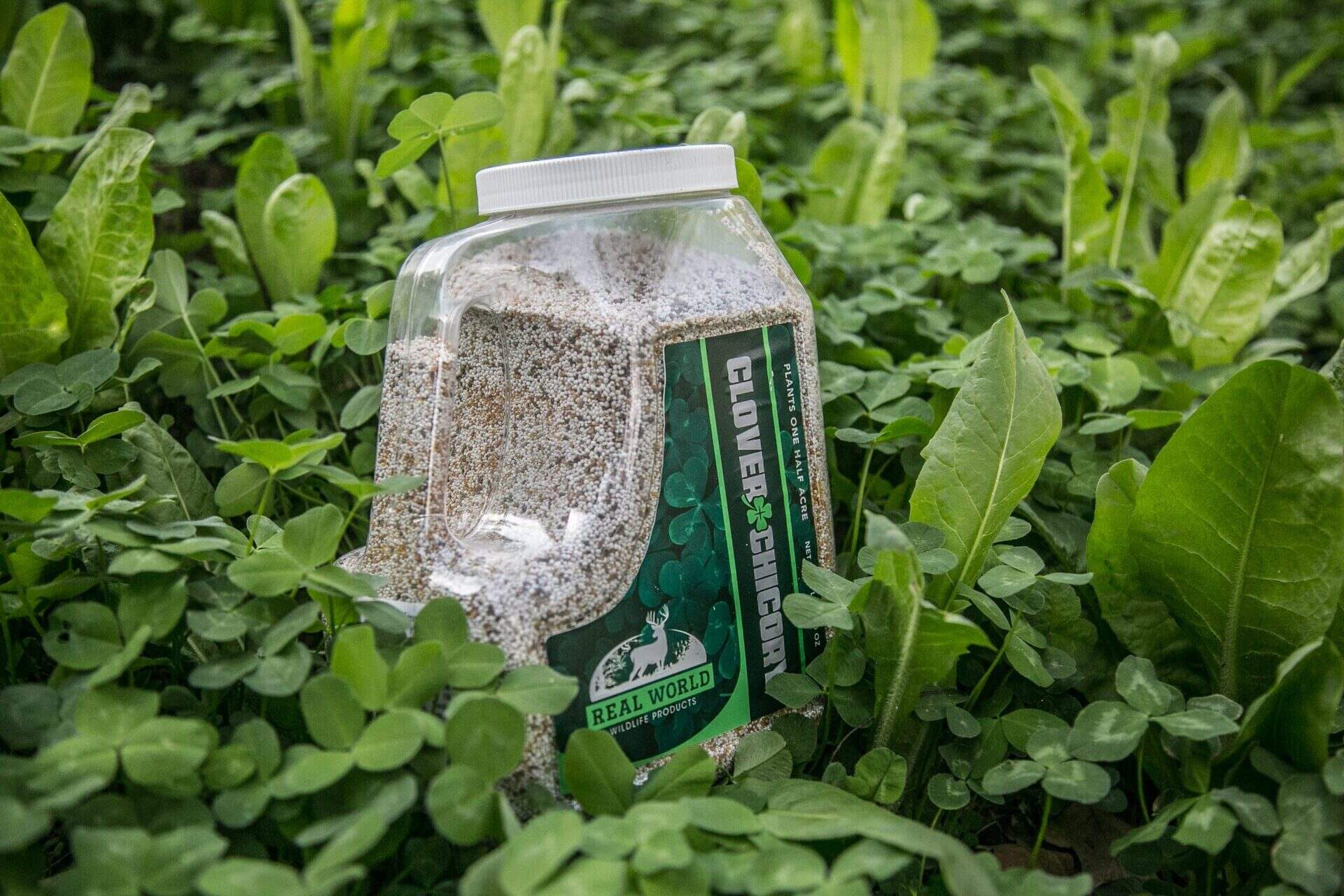 How Much Clover Seed Per Acre