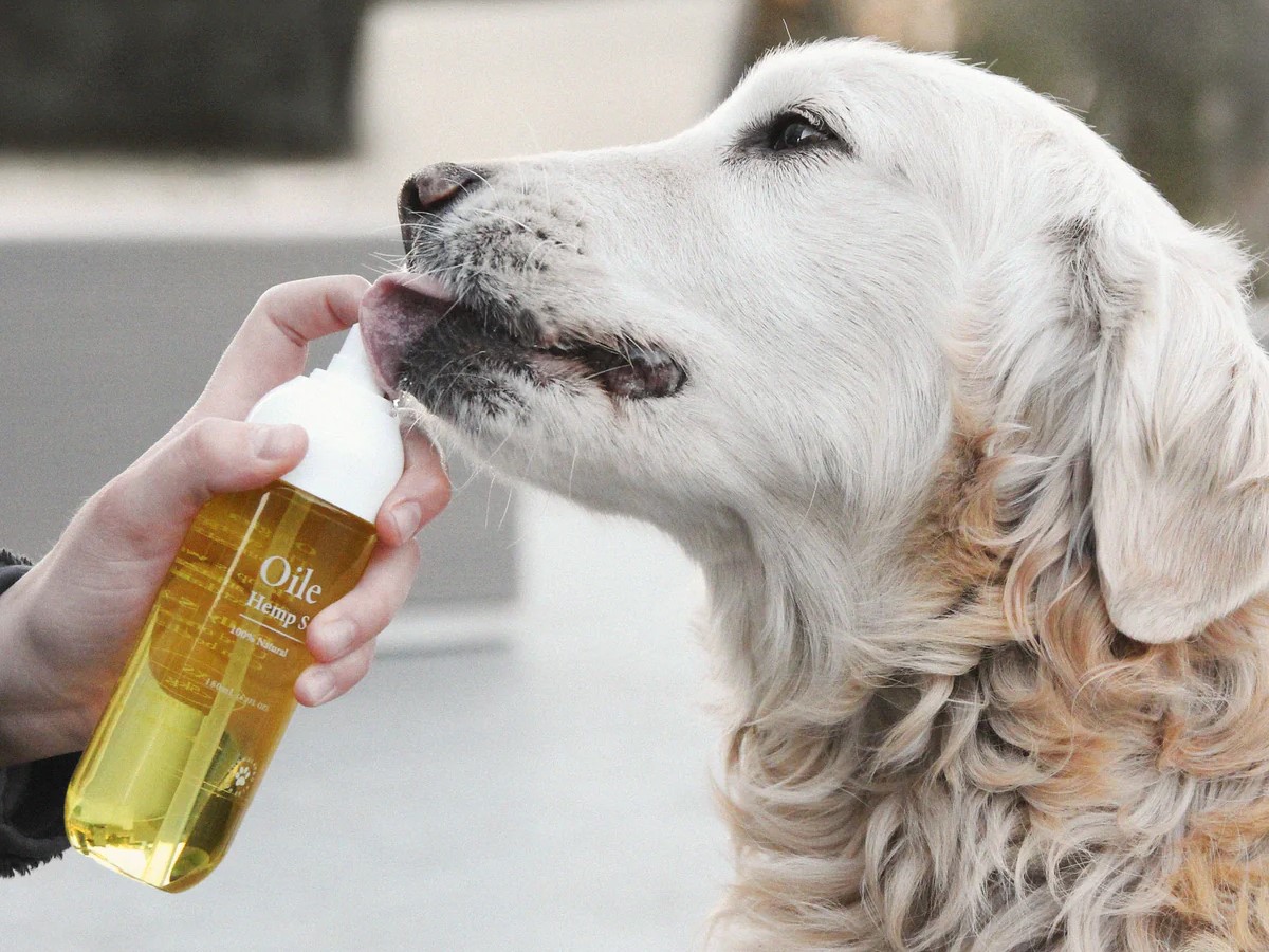 How Much Hemp Seed Oil For Dogs