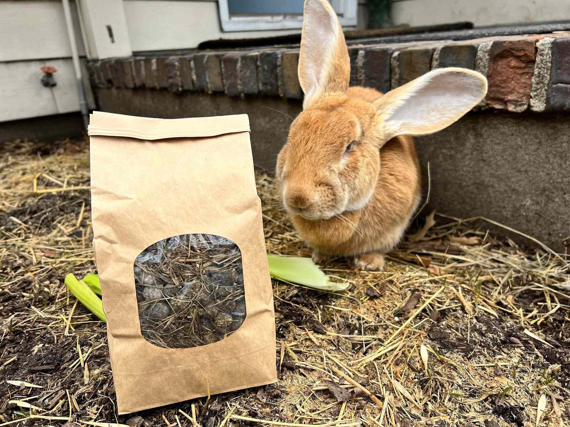How Much Rabbit Manure In Indoor Organic Soil Mix