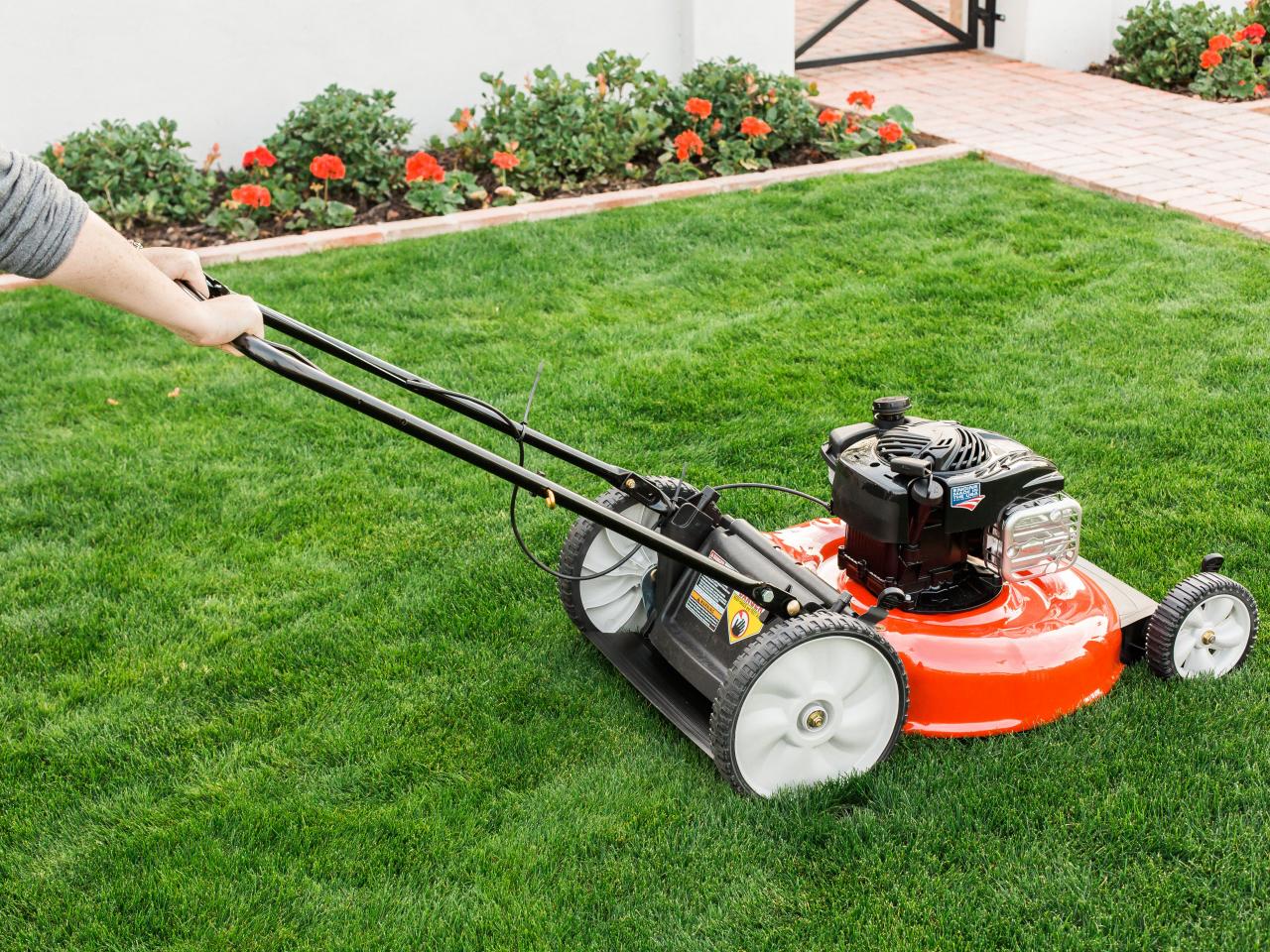 How Often Do Lawns Need To Be Mowed