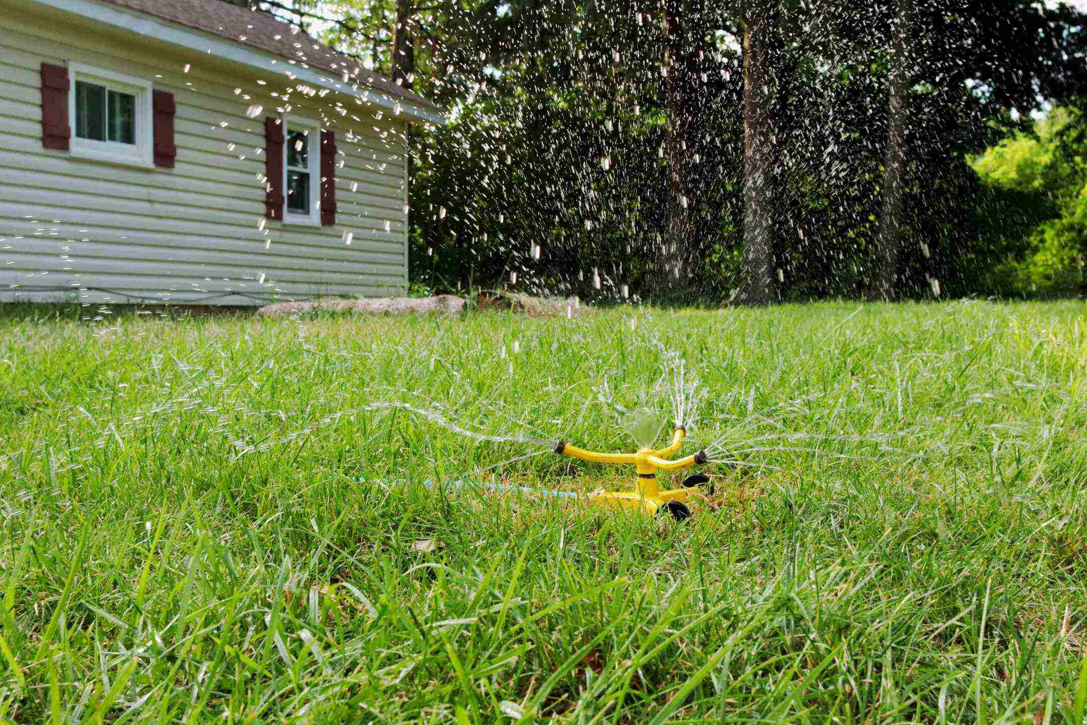 How Often Should Lawns Be Watered