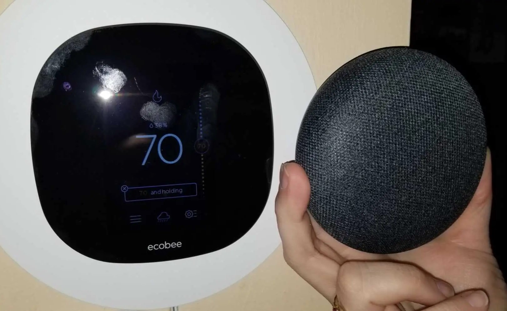 Ecobee google 2024