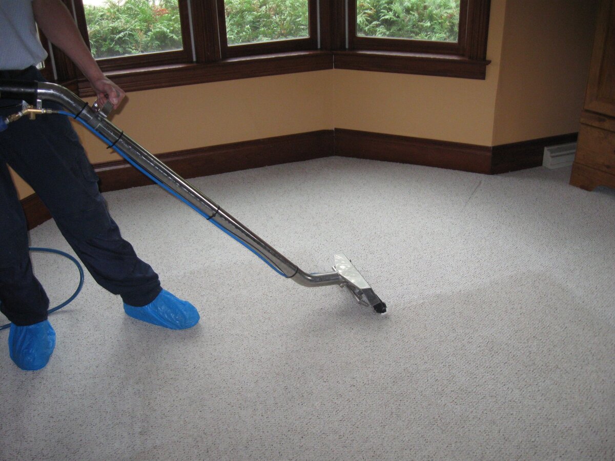 How To Clean A Carpet In An Apartment