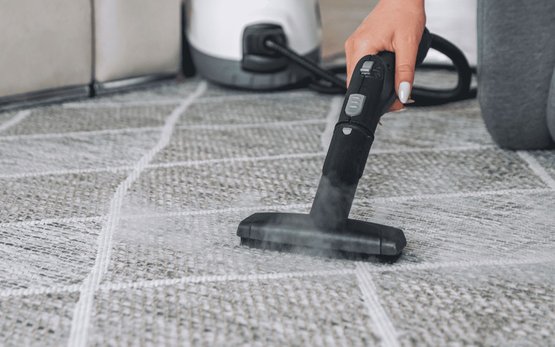 How To Clean Carpet Mold
