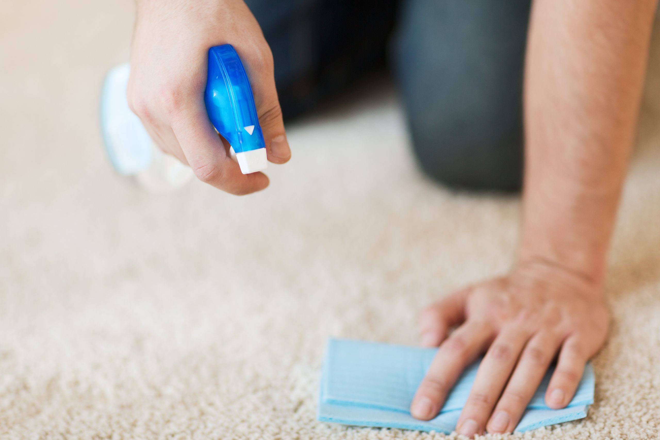 How To Clean Pee Smell Out Of Carpet