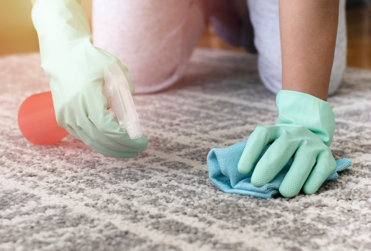 How To Clean Poop Stains From Carpet