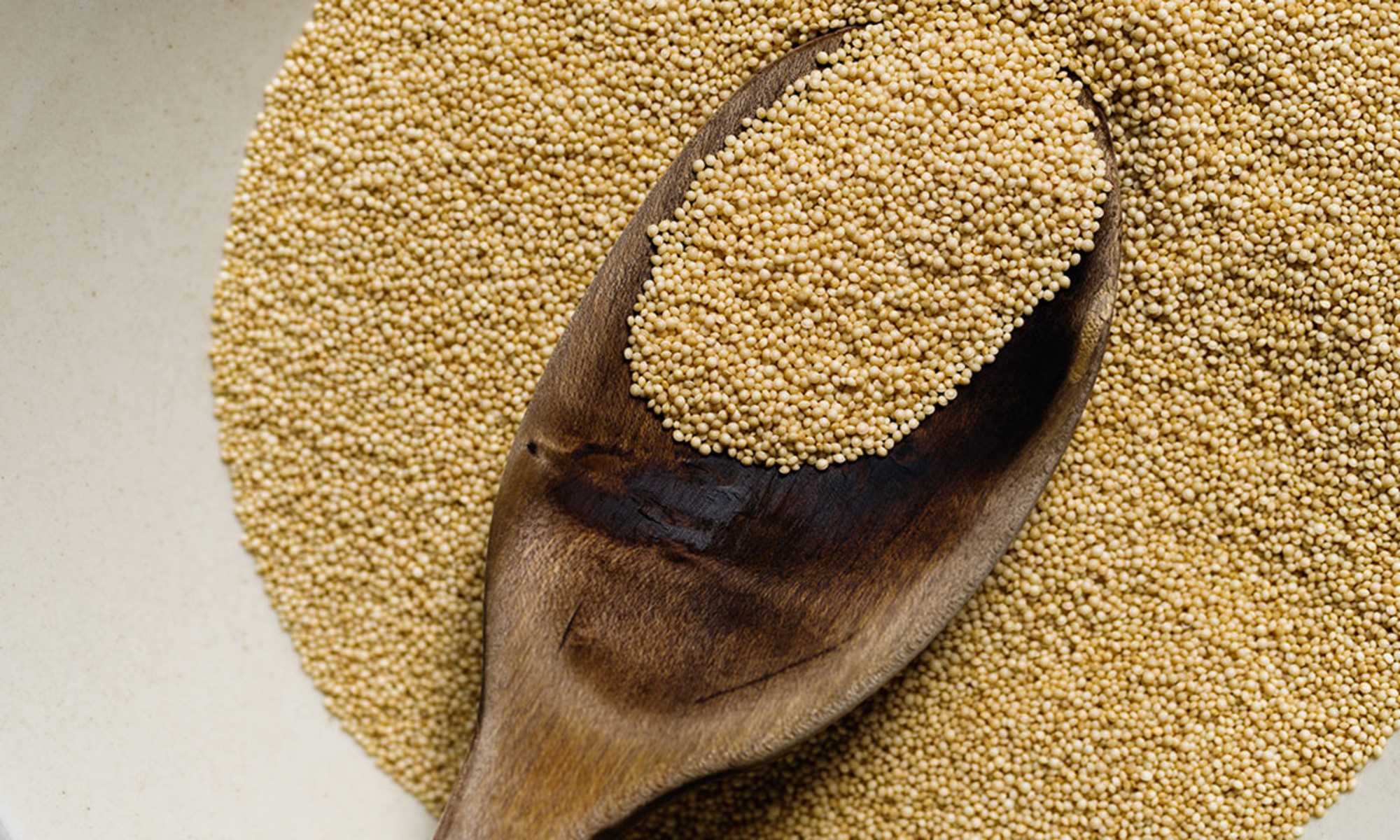 How To Collect Amaranth Seeds