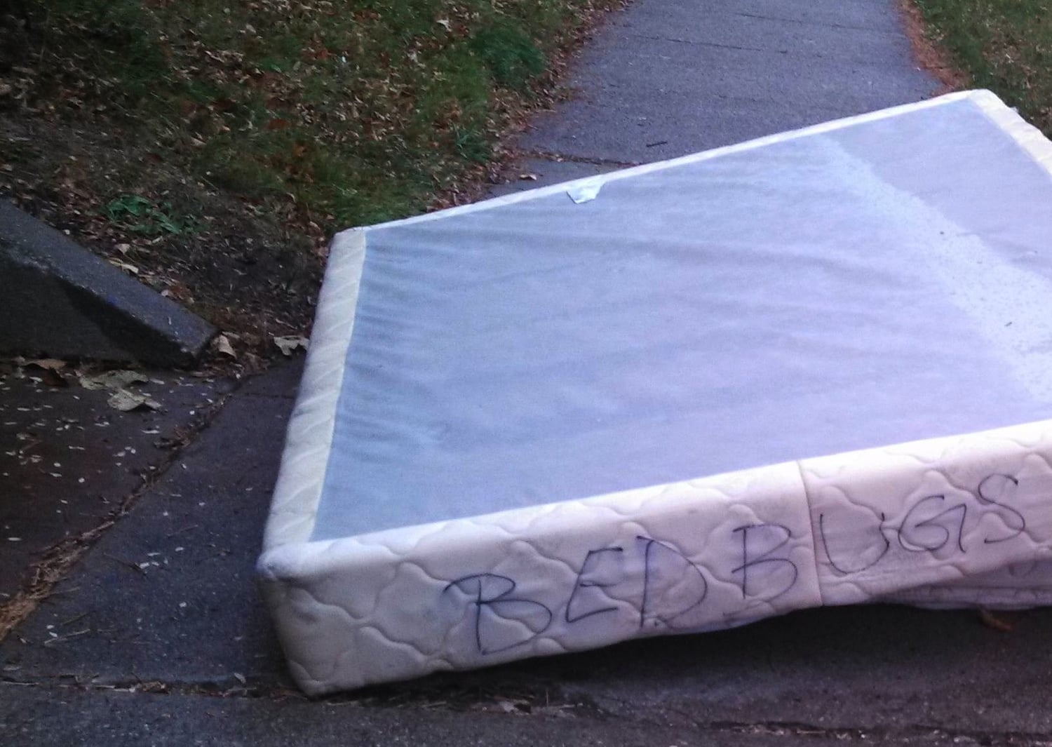 How To Dispose Of A Mattress With Bed Bugs