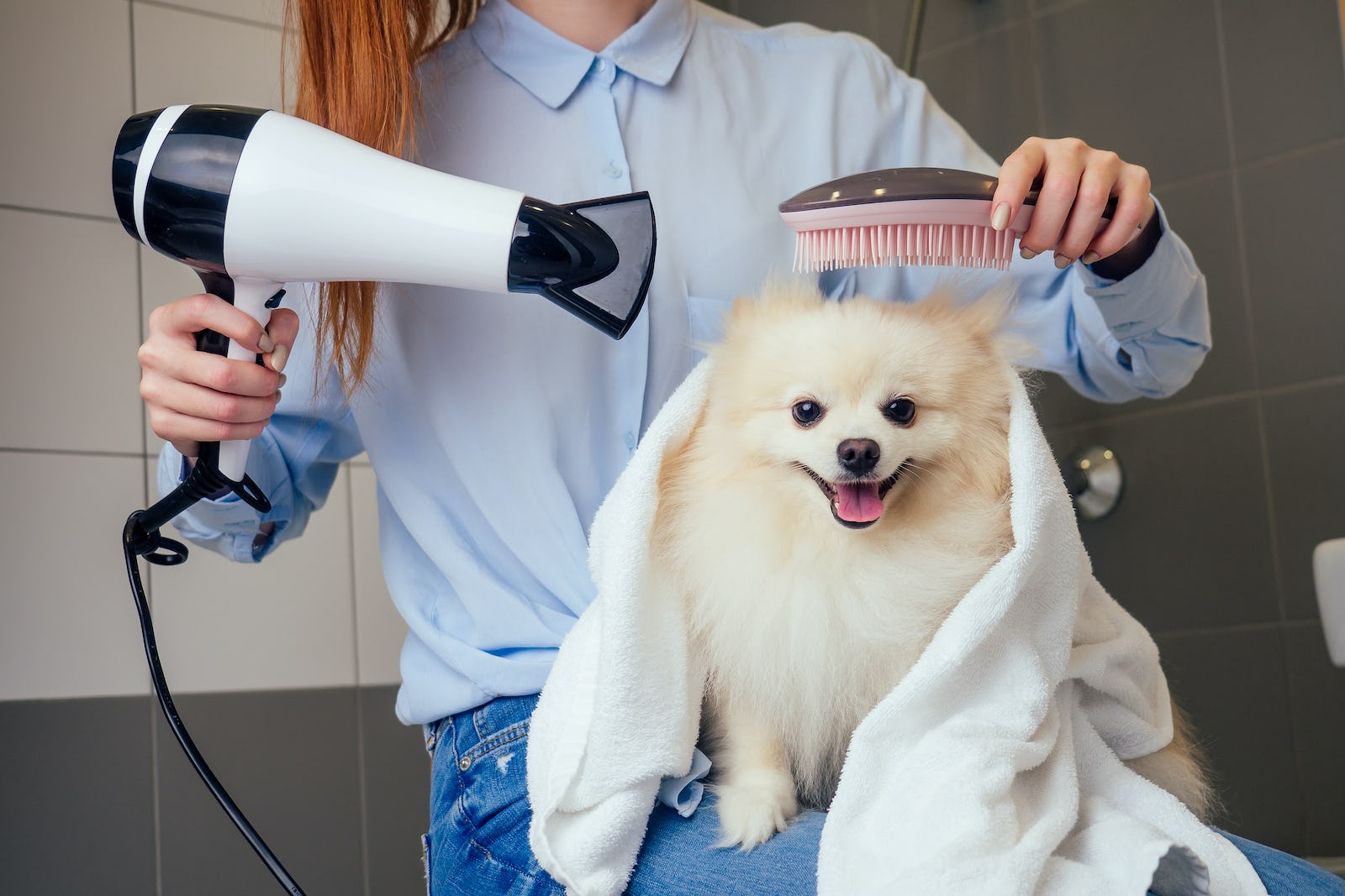 How To Dry A Dog Without A Hair Dryer