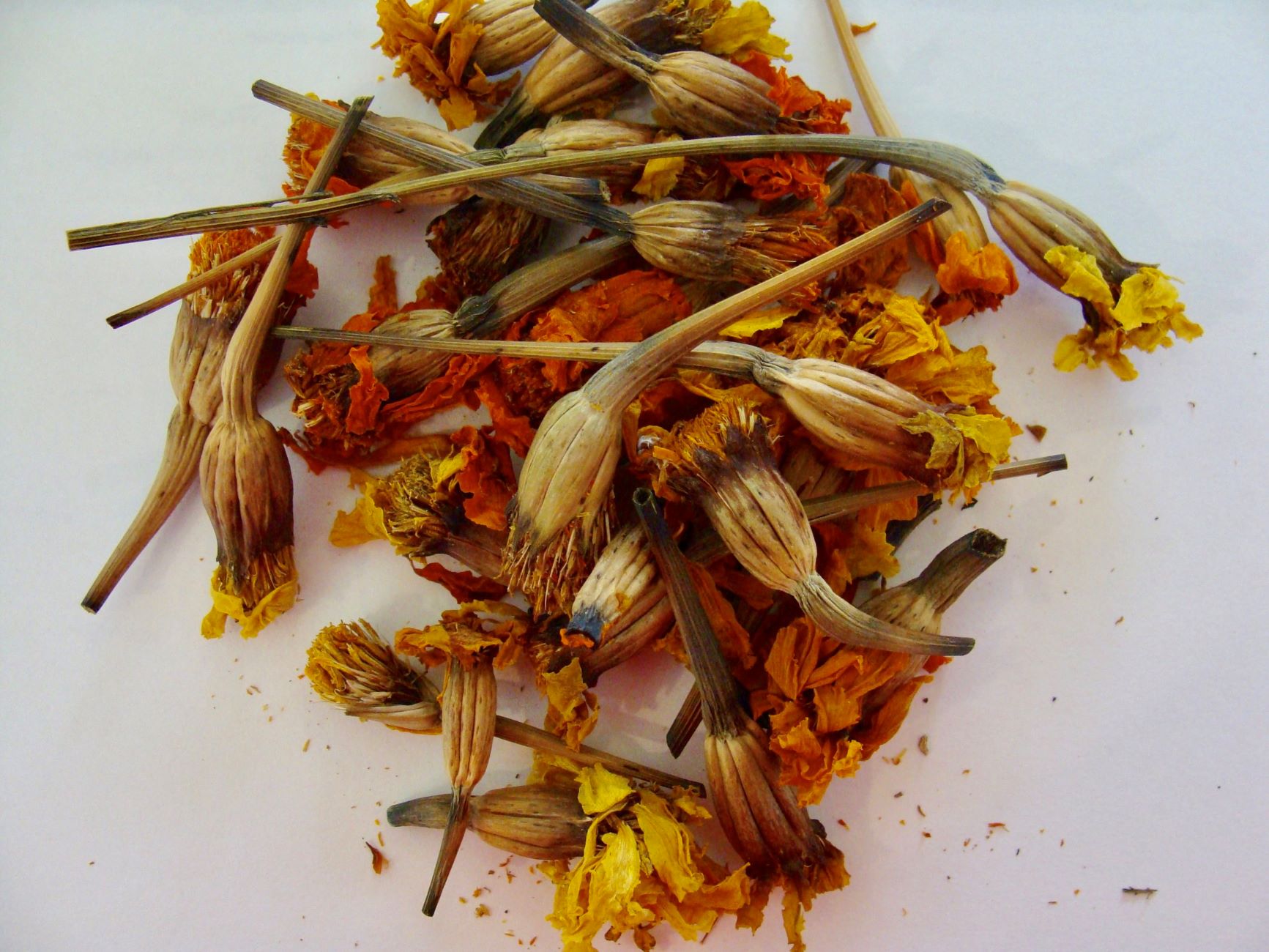 How To Dry Marigold Flowers For Seeds