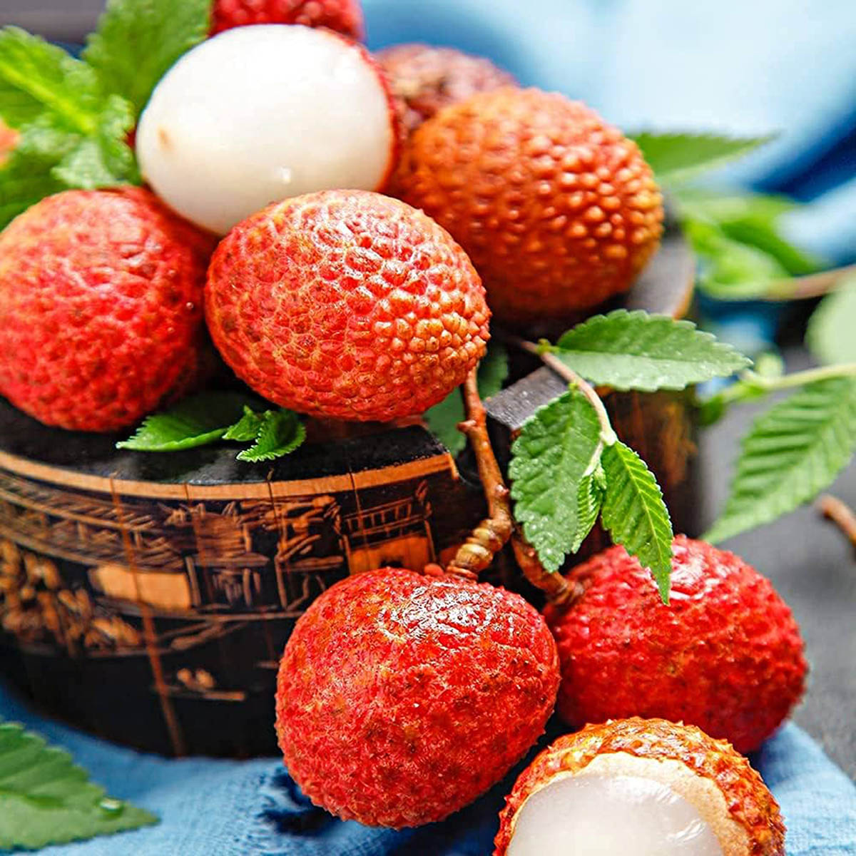 How To Germinate Lychee