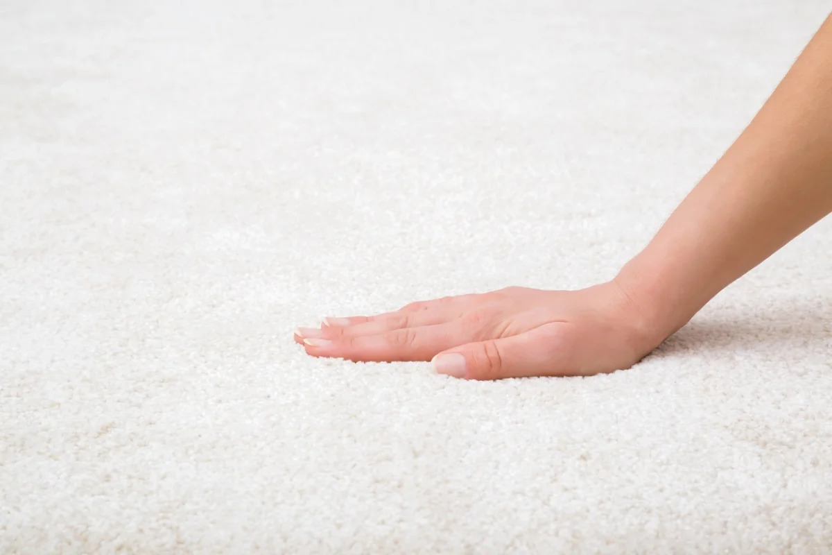 How To Get Carpet White Again