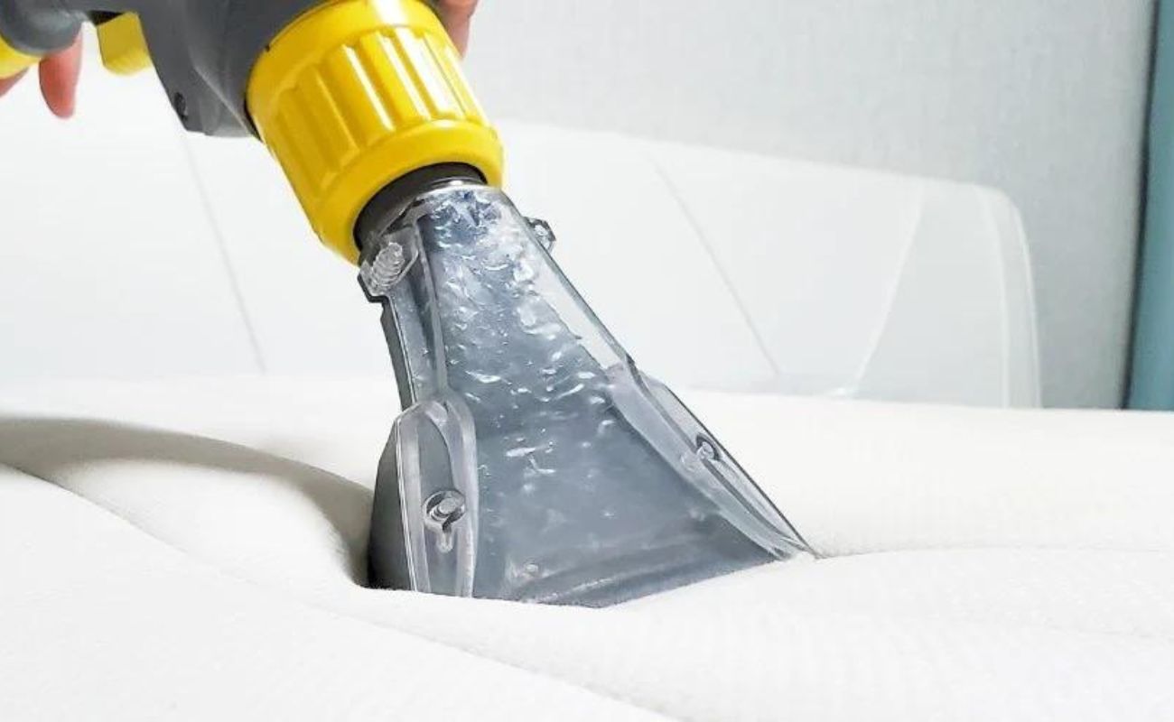 How To Get Dog Pee Out Of A Mattress