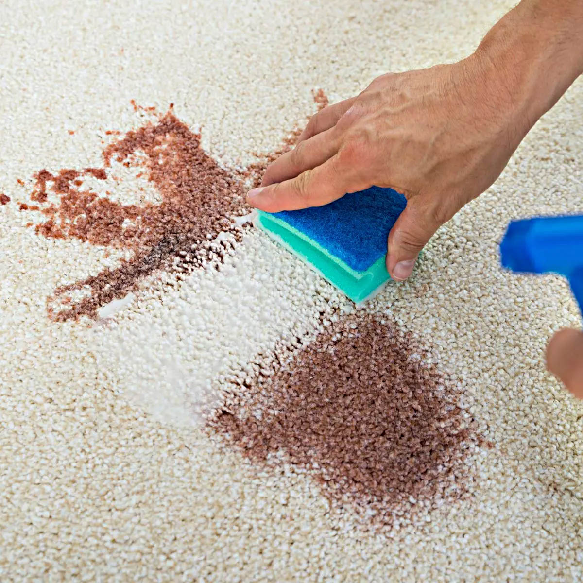 How To Get Dried Resin Out Of The Carpet