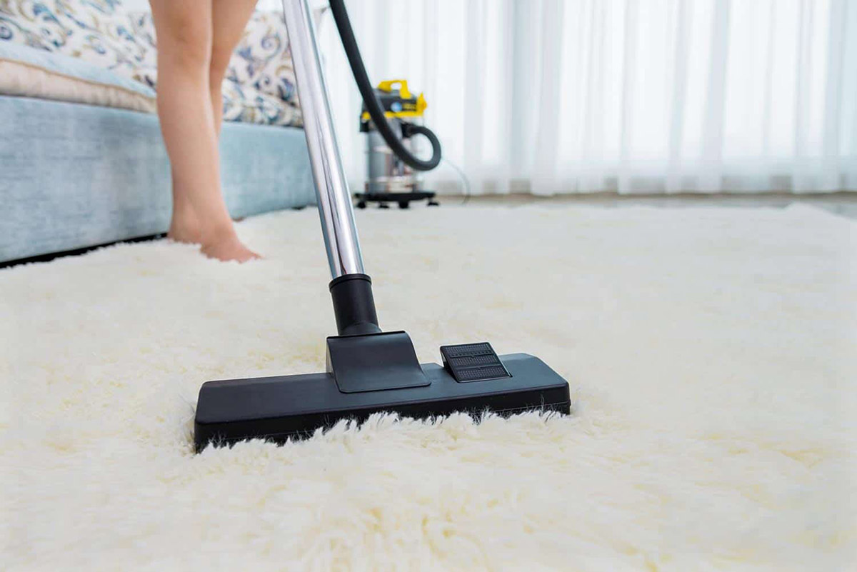 How To Get Kitty Litter Out Of A Carpet | Storables