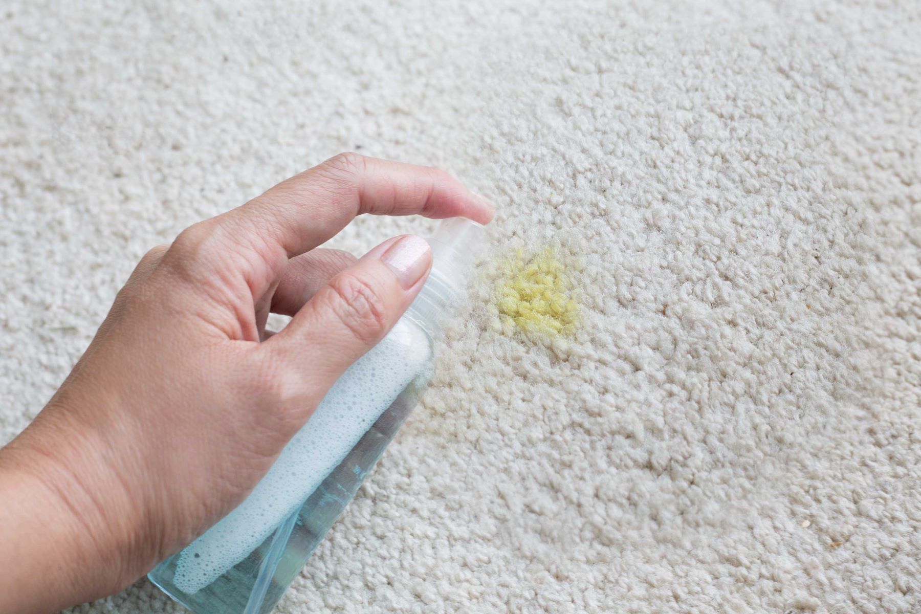 How To Get Mustard Stains Out Of A Carpet