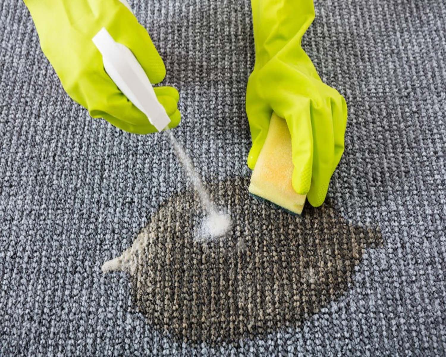 How To Get Pet Stains Out Of A Carpet