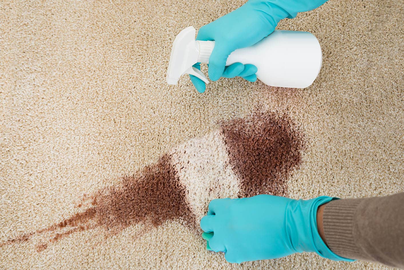 How To Get Rid Of Dog Diarrhea On A Carpet