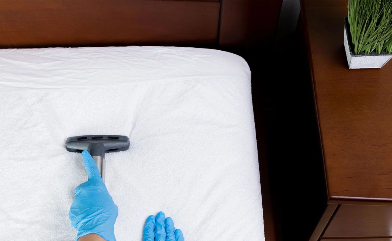 How To Get Rid Of Scabies On A Mattress