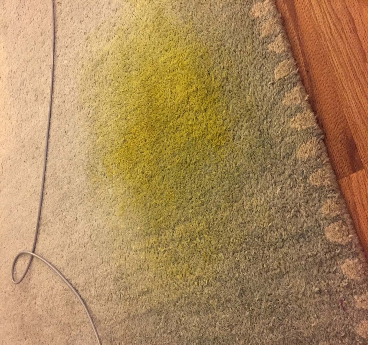 How To Get Turmeric Out Of A Carpet