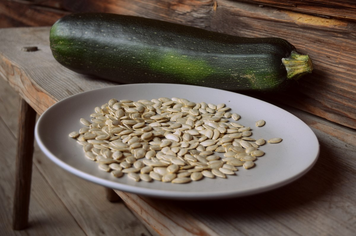 How To Get Zucchini Seeds