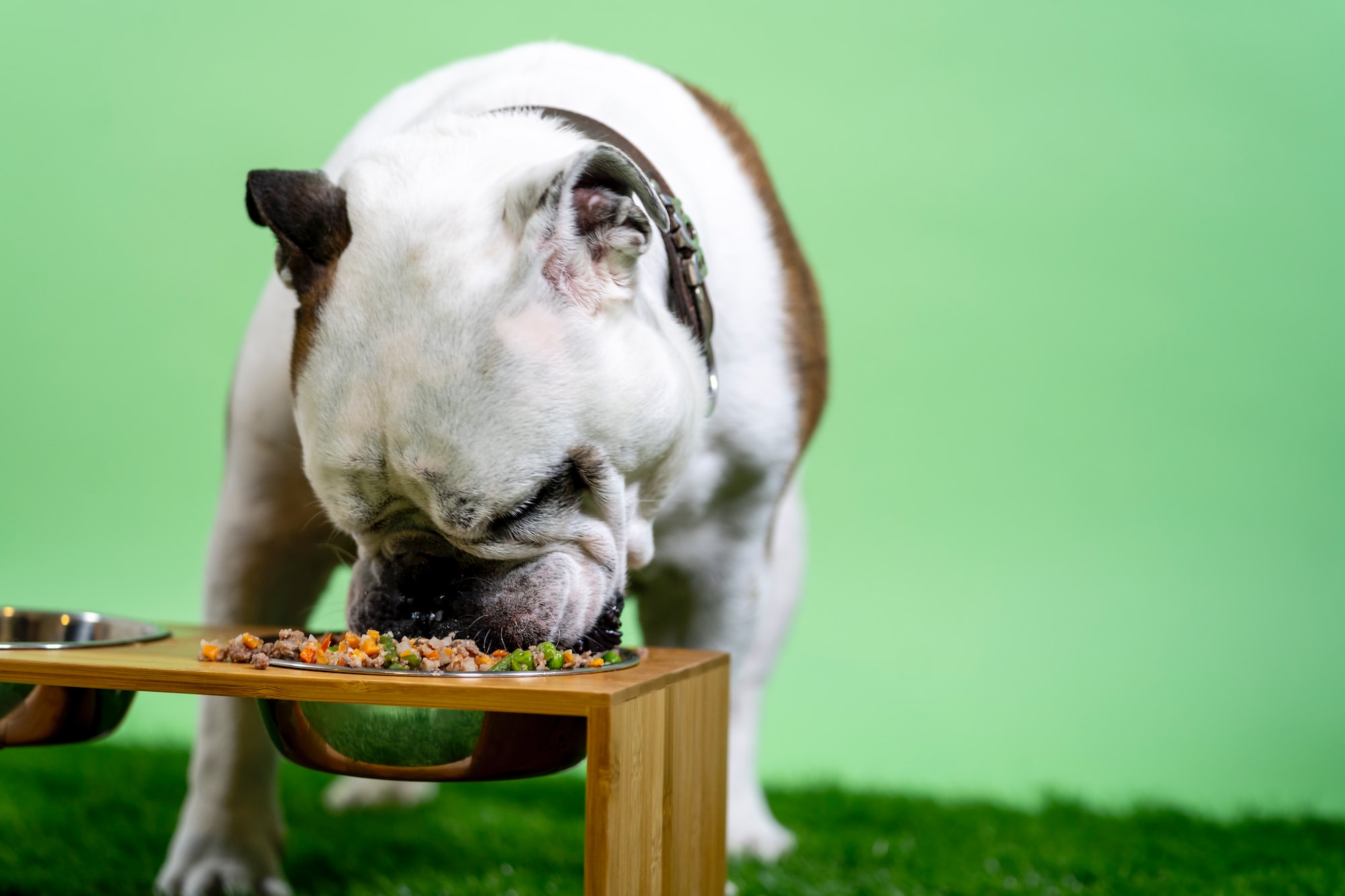 How To Grind Pumpkin Seeds For Dogs