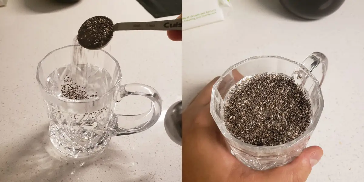 How To Grow Chia Seeds In Water