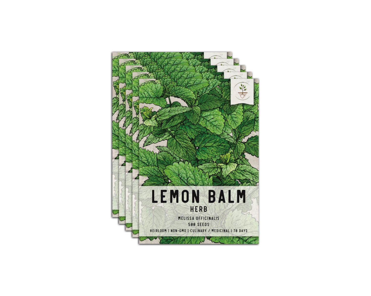 How To Grow Lemon Balm Seeds