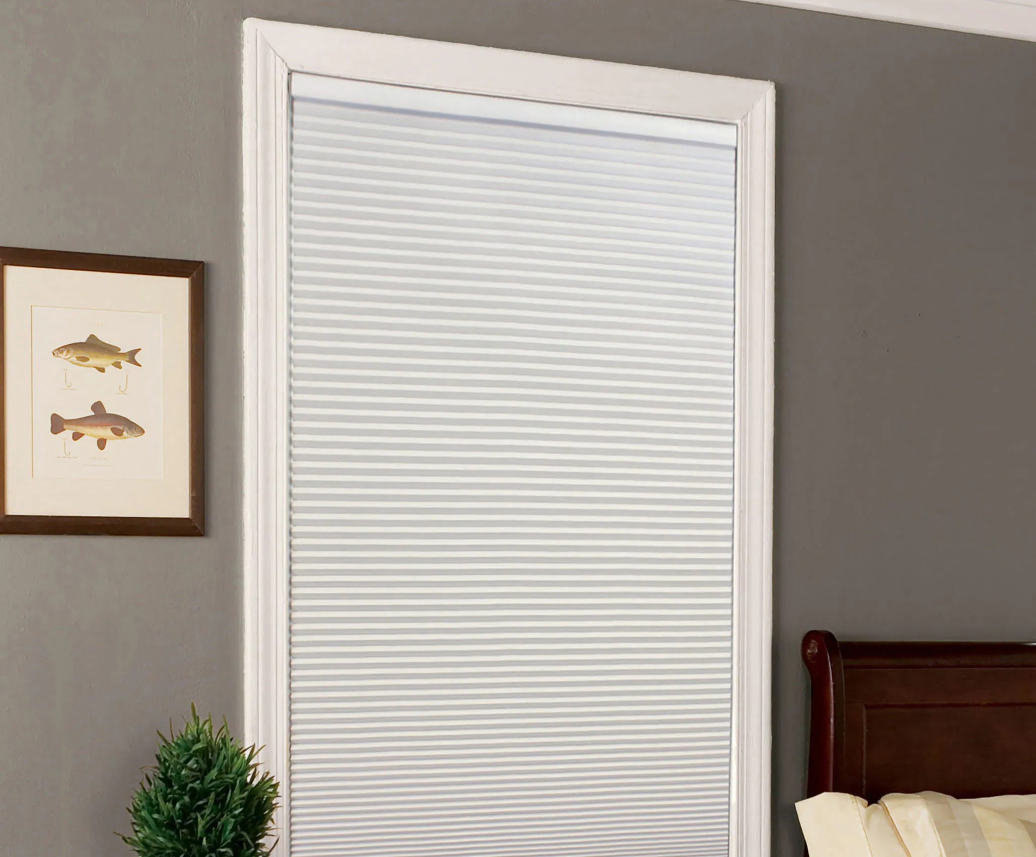 https://storables.com/wp-content/uploads/2023/12/how-to-install-allen-roth-blinds-1701469542.jpg
