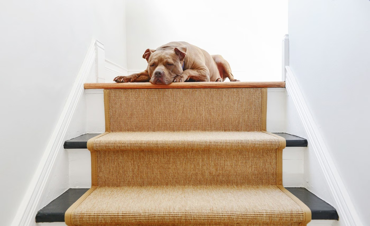 How To Install Carpet Stair Runner