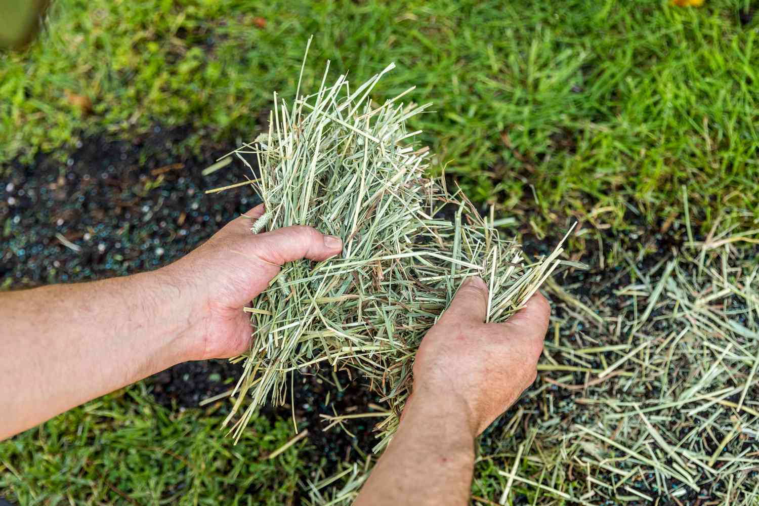 How To Lay Straw Over Grass Seed
