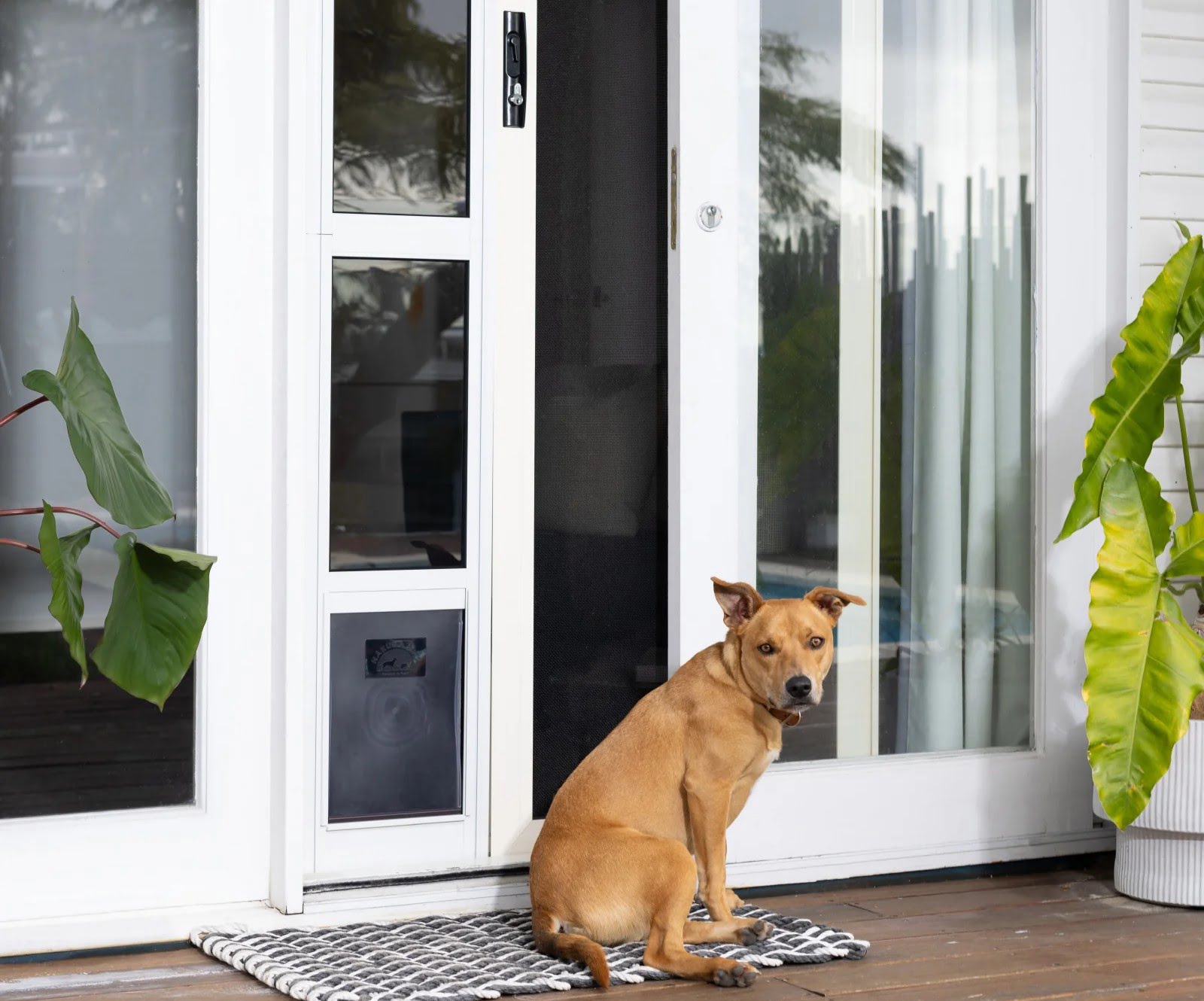 How To Lock Sliding Glass Door With Dog Door