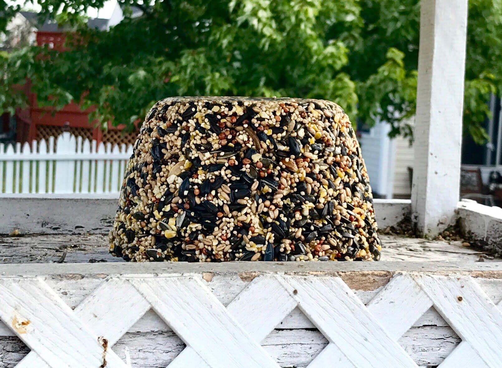 How To Make A Bird Seed Block