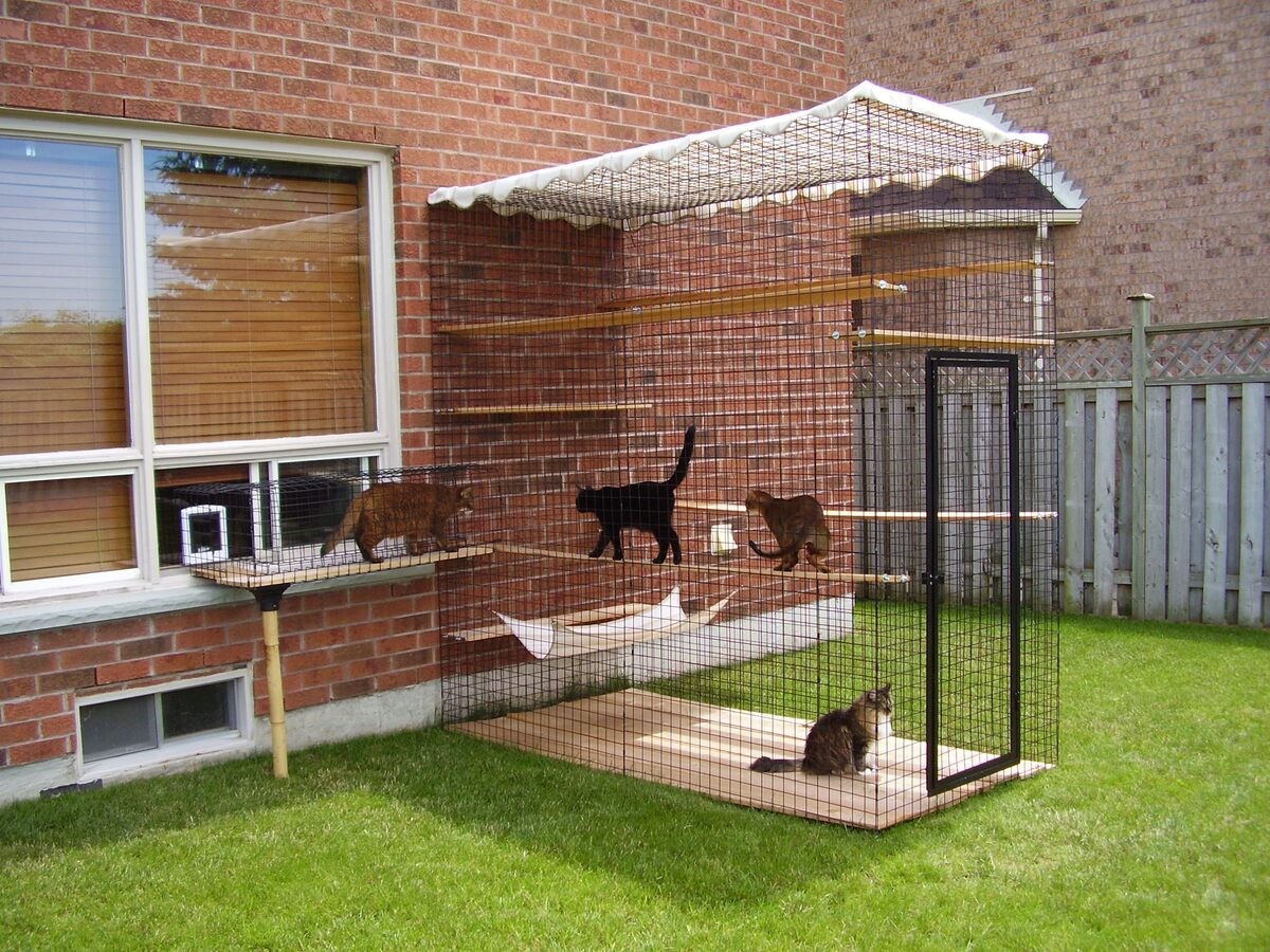 How To Make A Cat Patio