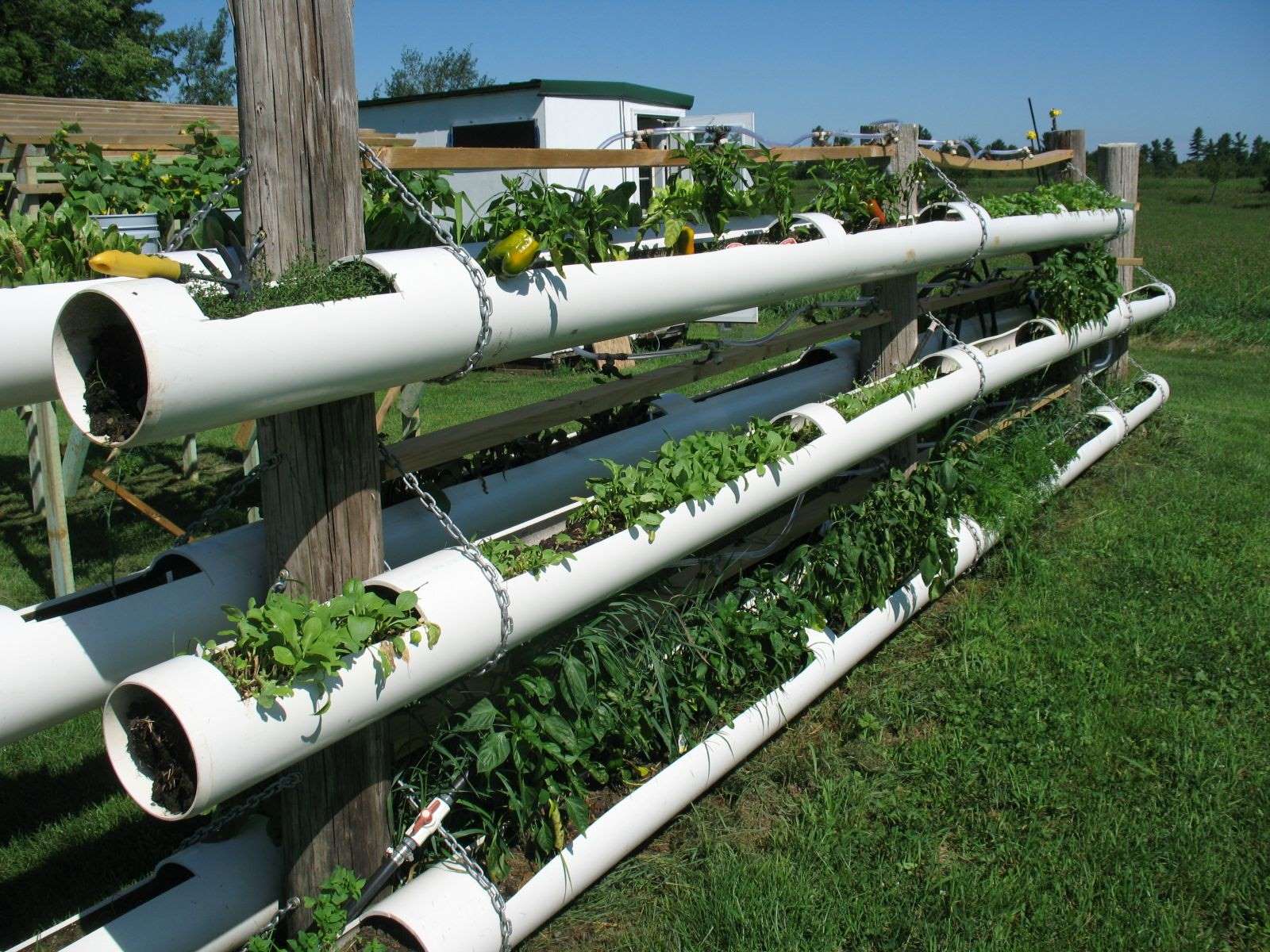 How To Make A Vertical Garden With PVC Pipe