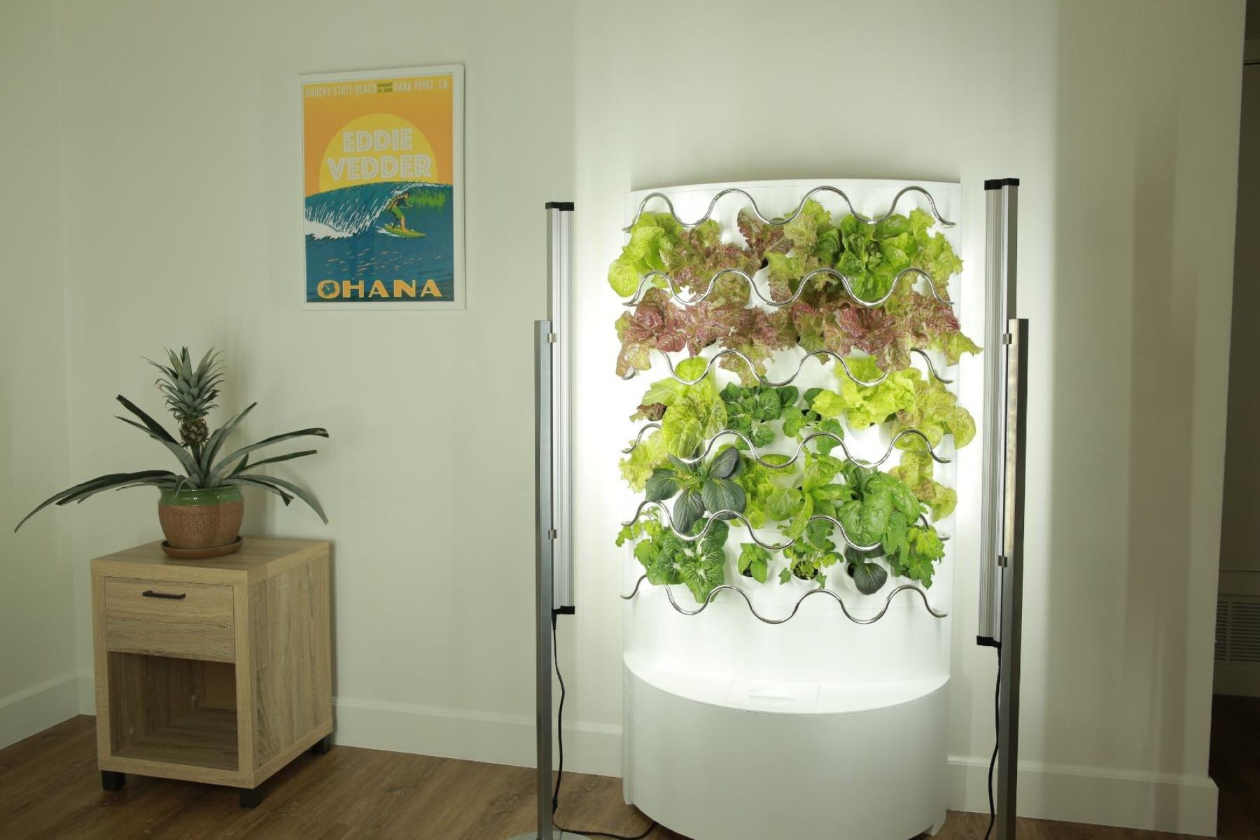 How To Make An Indoor Hydroponic Vertical Garden