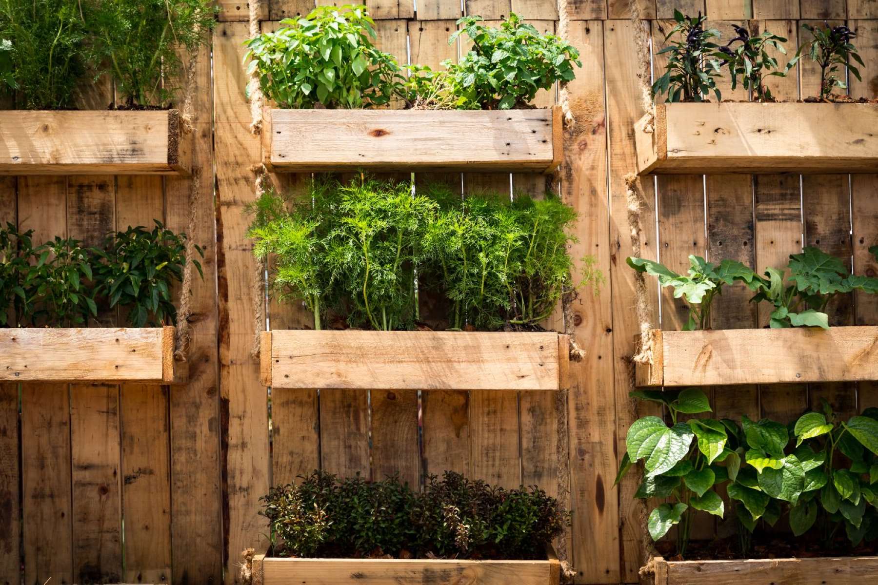 How To Make DIY Vertical Garden