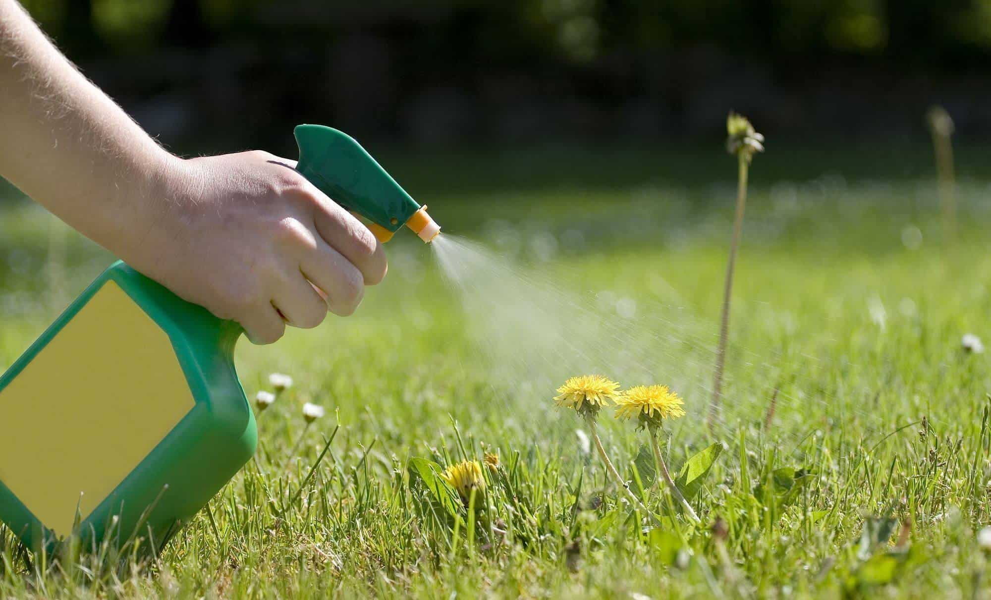 How To Make Homemade Weed Killer For Lawns
