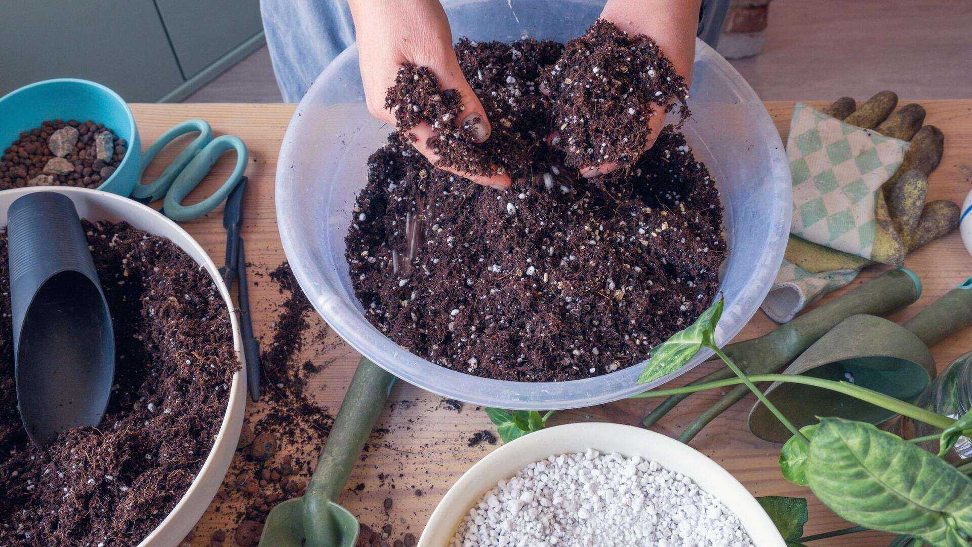 How To Make Potting Soil Mix