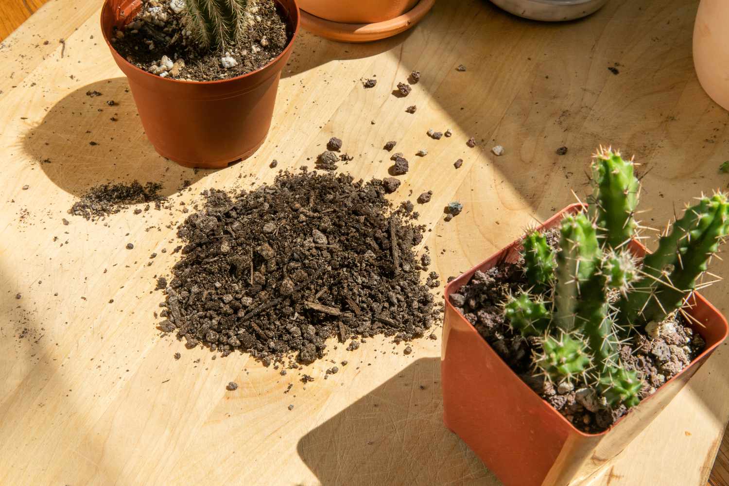 How To Make Soil Mix For Cactus