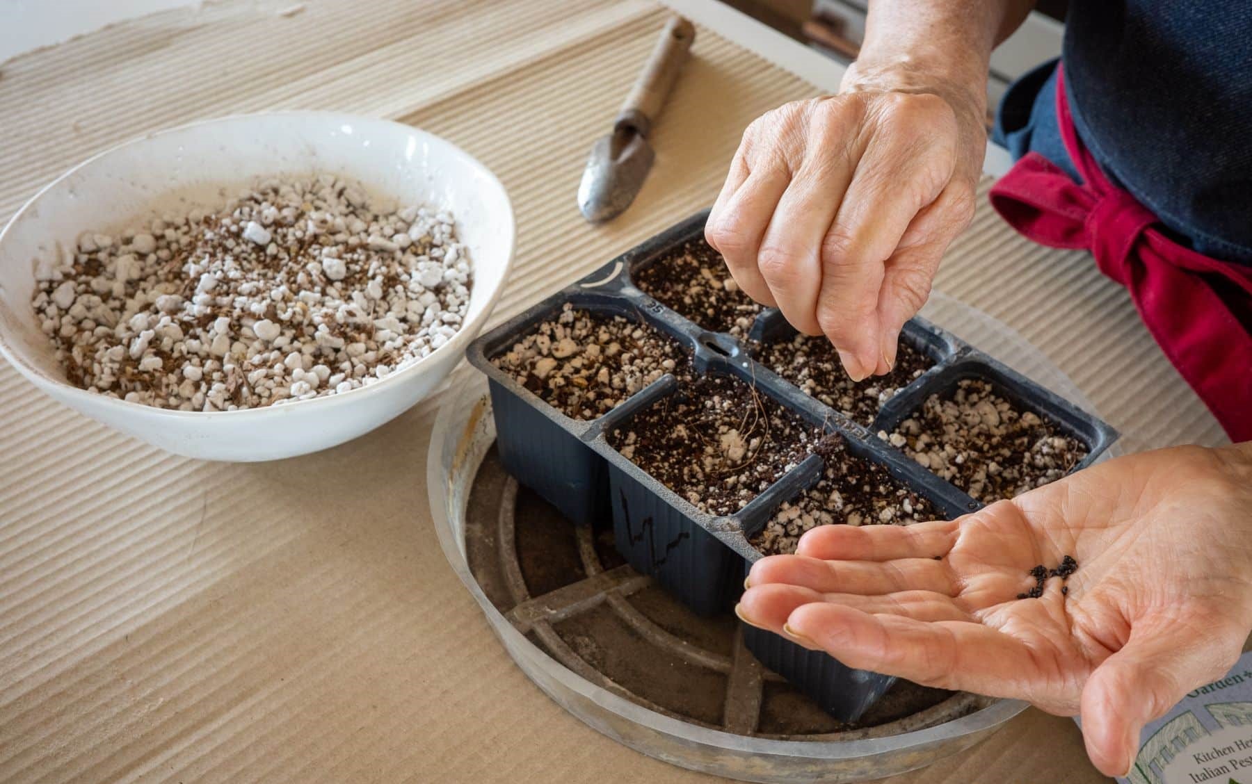 How To Plant Basil Seed