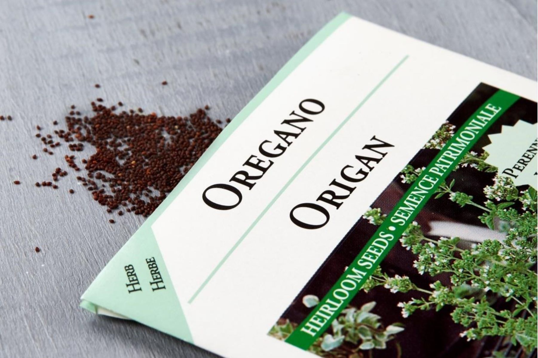 How To Plant Oregano Seeds