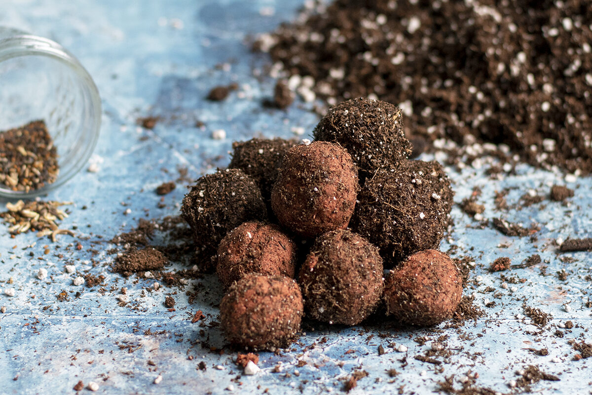 How To Plant Wildflower Seed Bombs