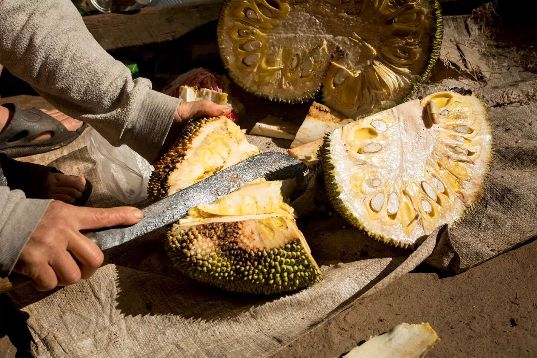 How To Prepare Jackfruit Seeds