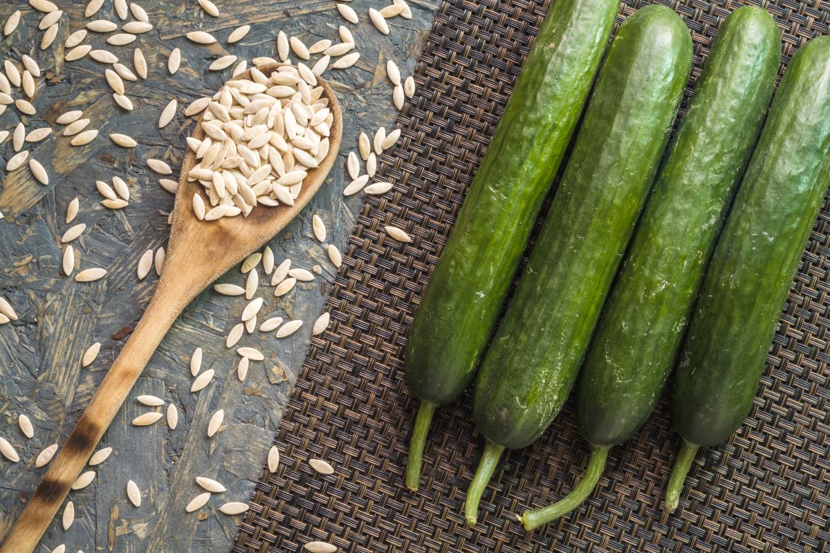 How To Preserve Cucumber Seeds