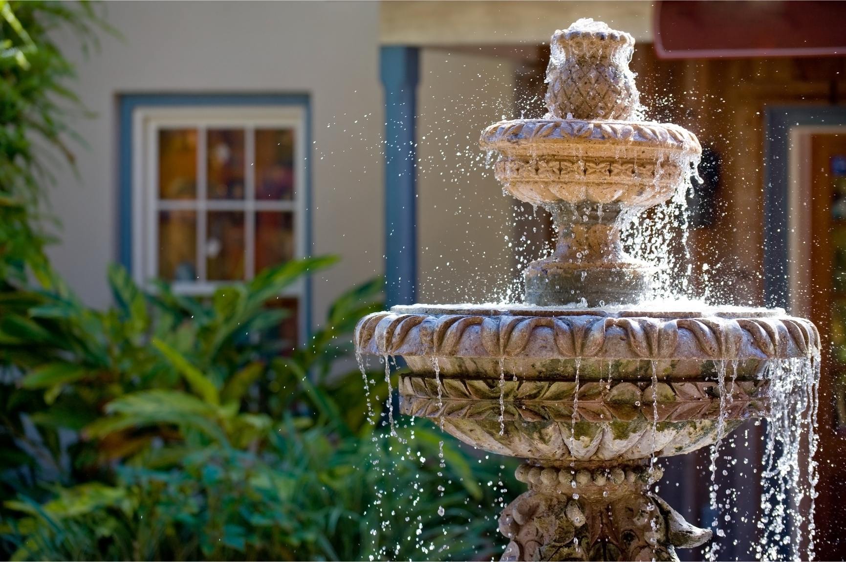 How To Prevent Mosquitoes In A Water Fountain