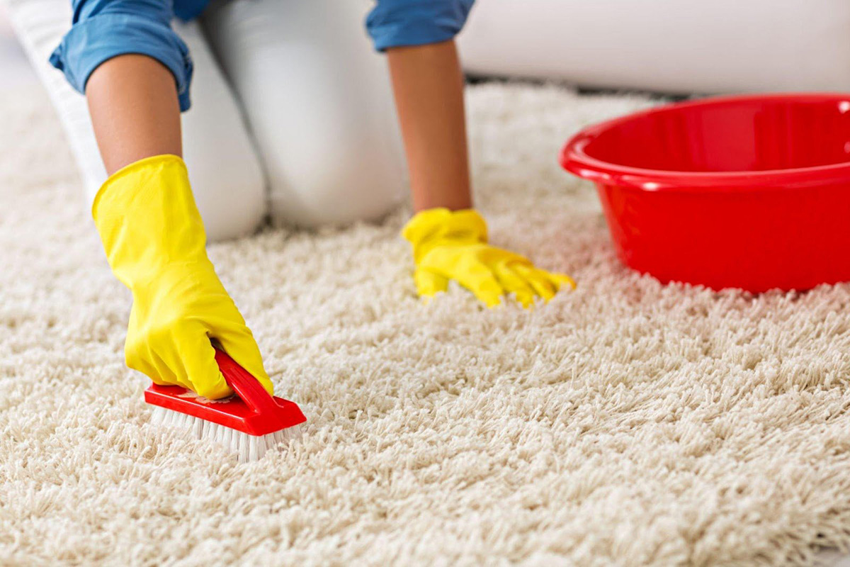 How To Protect A Carpet From Stains